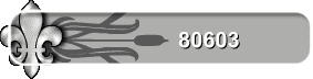80603