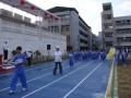 Thumbs/tn_97718.jpg
